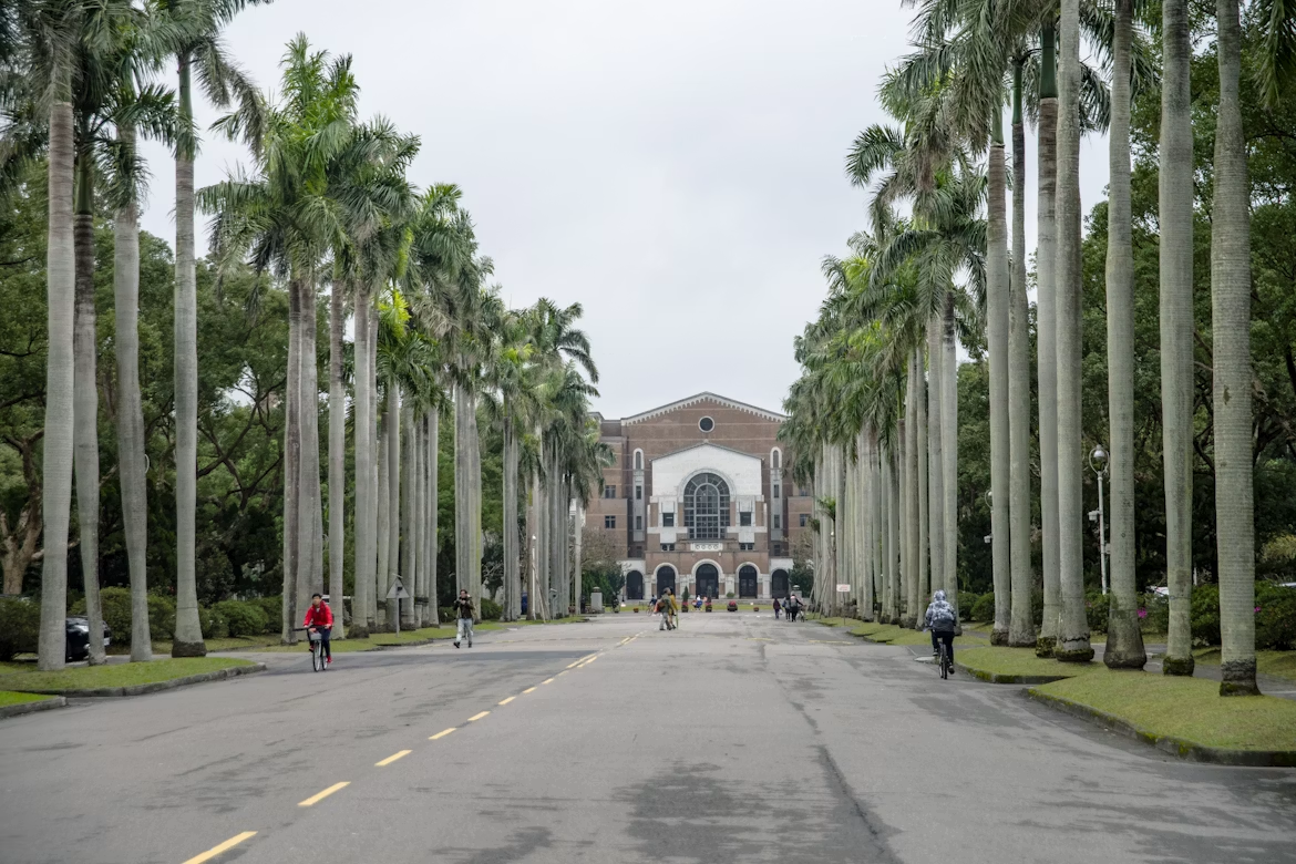 A quiet, tree-lined avenue in Taipei